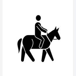 Additional rider