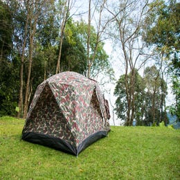 Pop up Tent