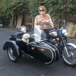 Royal Enfield w/sidecar