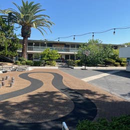 Outdoor Basketball Court