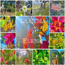 Private Farm Programs