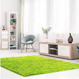 Green Fuzzy Rug