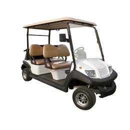 Golf cart rental