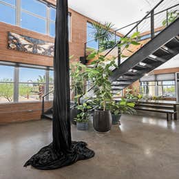 Aerialist Performers