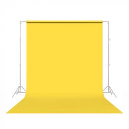 Canary Seamless Background Paper