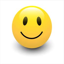 Site rep. Required for crews 20+. Per day fee.