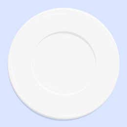 Charger Plate