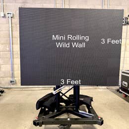 Smaller Reflective Wild Walls #5 and #6 (3 feet tall)