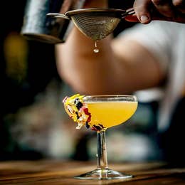 Cocktails Masterclass