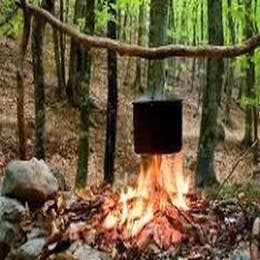 Bushcraft for Adults at Penhein
