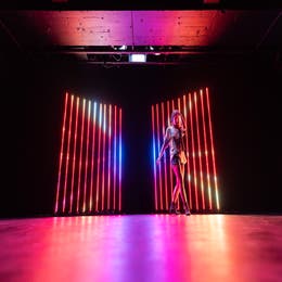 LED system - standing 22x120px