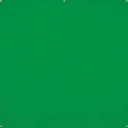 Green Screen (fabric) 