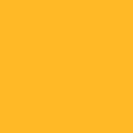 Backdrop — Marigold — Seamless