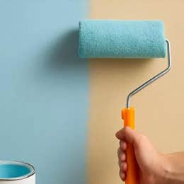 Modular Wall Color Change