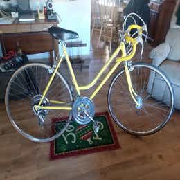 1977 Schwinn Beach cruiser