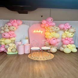 Balloon Garland w/ backdrop
