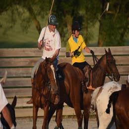 8-WEEK POLO SCHOOL