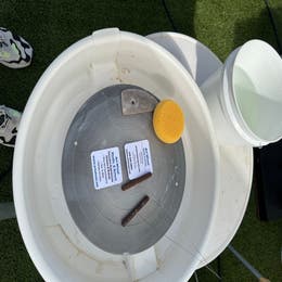 pottery wheel experience