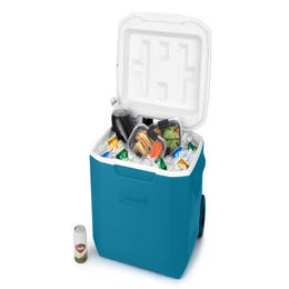Coleman 60 quart  cooler