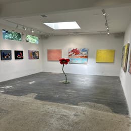 Professional Art Installation