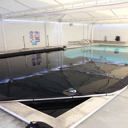 Black In-Water Backdrop