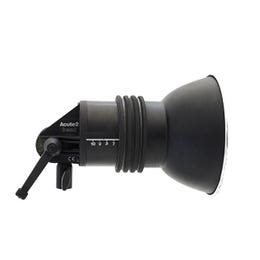 profoto acute head