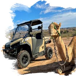 UTV Safaris