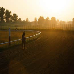 TOURS -  Farm Tour (No Tasting)