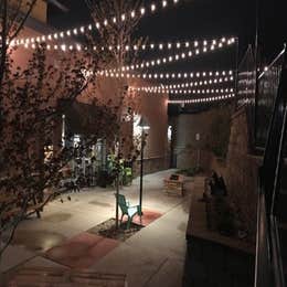 Bistro / Market String Lighting