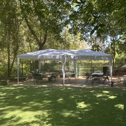 10x20 canopy