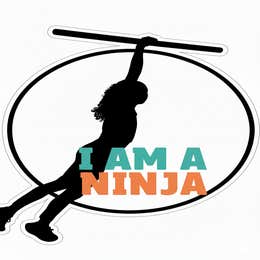 Ninja Warrior Experience