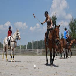POLO CLINIC