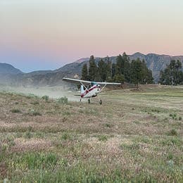 Airplane (in flight with pilot)