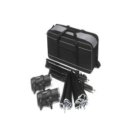 Profoto D1 2 Head Kit - 250watt