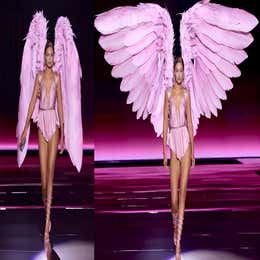 Angel Wings: $75 Per Session