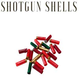 Assortment Shot gun shells