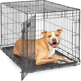 Large Dog Crate