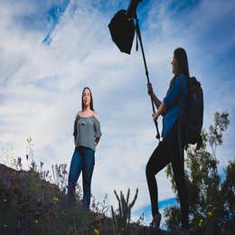 Assistant: $45 Per Session