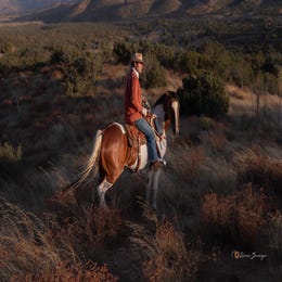 Horseback riding