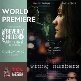 Motion Graphics creation