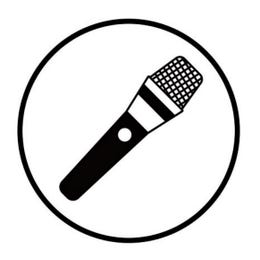 Wireless Microphone – 1 Available