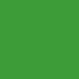 Backdrop — Tech Green — Seamless