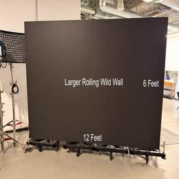 Large Wild Wall #7 (12 feet wide by 6 feet tall)