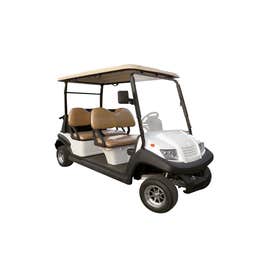 Golf cart rental