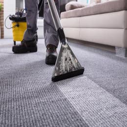 Use of carpet (carpet cleaning)
