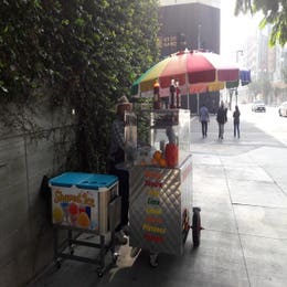 Fruit cart with coolers