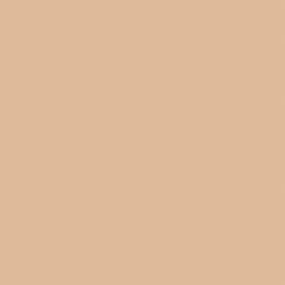 Backdrop — Pongee — Seamless