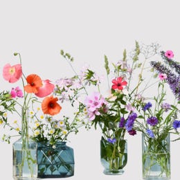 Glass Bud Vase Arrangement (Individual)