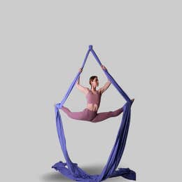 Private Aerial Experience