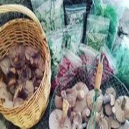 Campfire Cookery Classes